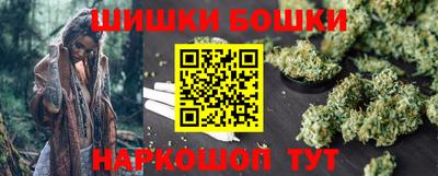 ешки Кингисепп