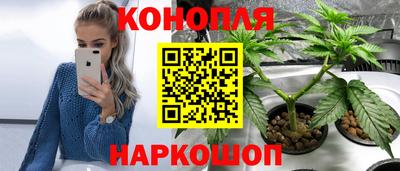 ешки Кингисепп