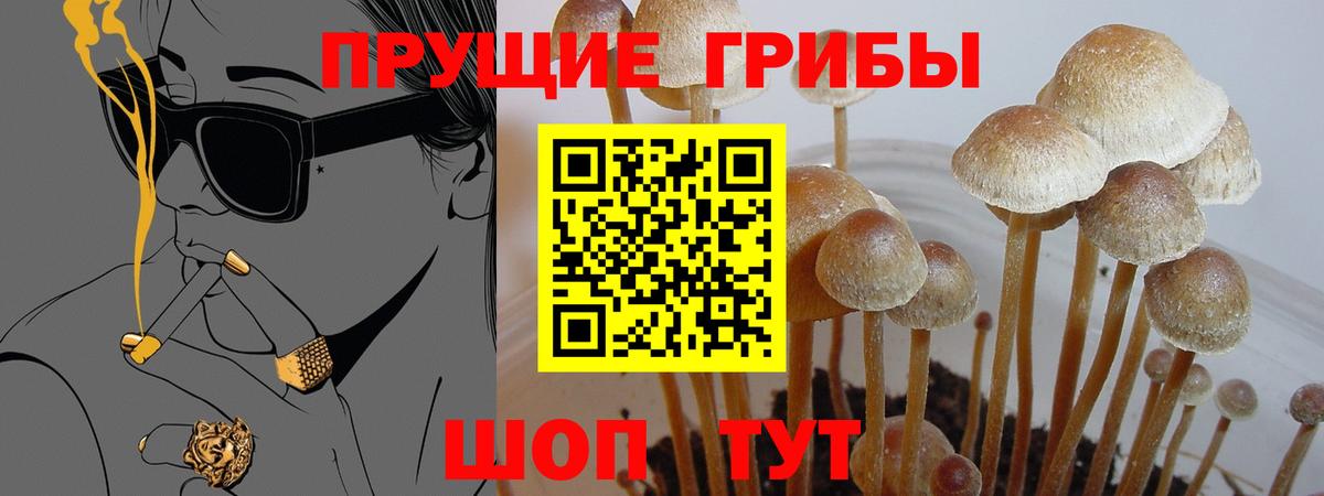 Псилоцибиновые грибы ЛСД Волоколамск